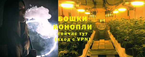 герыч Мегион