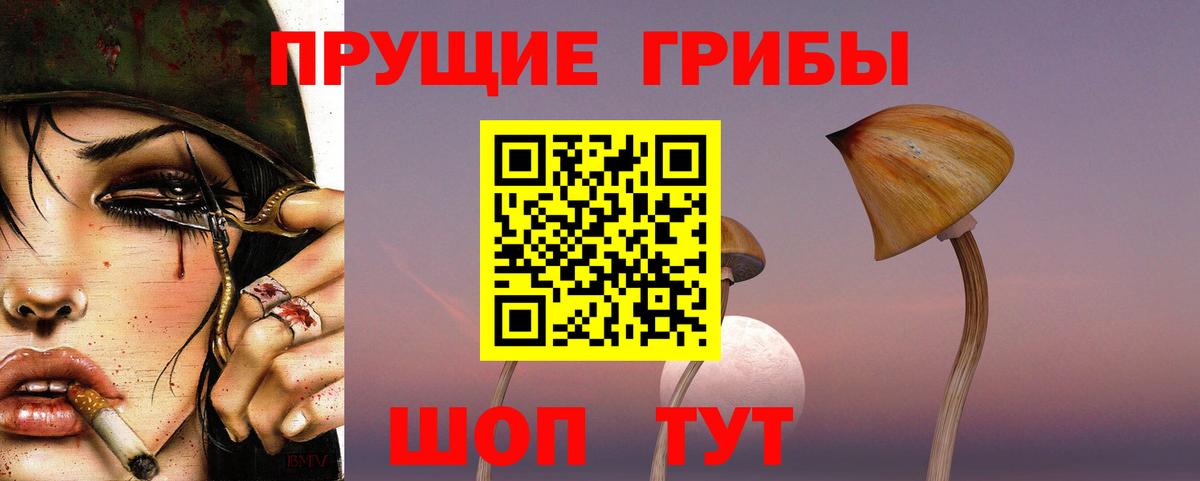 Псилоцибиновые грибы Cubensis  Вход с VPN  Тихорецк 